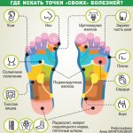 Рефлекторные точки на стопе.